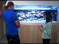 Novo Campo - 03/11/13 - Aprenda a montar um aquário!