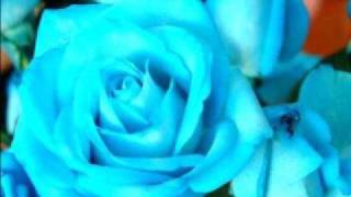 Tamil Song: Chinna purave - kannal pesava