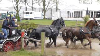 Download Lagu TER HARMSEL Herman,NED, CAI3 Horst 17 04 16, H4, Marathon Ob5 MP3