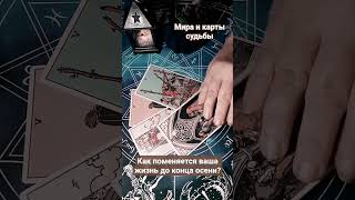 🔥 Как поменяется ваша жизнь до конца осени? 💥🤝💰 #гадание #таро #tarot #раскладтаро #мистика #shorts
