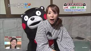 Kumamon (くまモン) Funny and Fail Moments