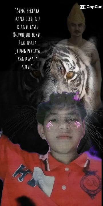 story WA khodam pendamping