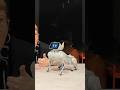 Crazy AI Robot Dog GOGOBOT D1 #unboxing #ai #airobot #robot #dog #animals #funny #shot #kidsvideo