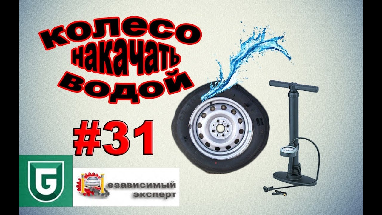 Provironum �������� ���� �����������: ����.