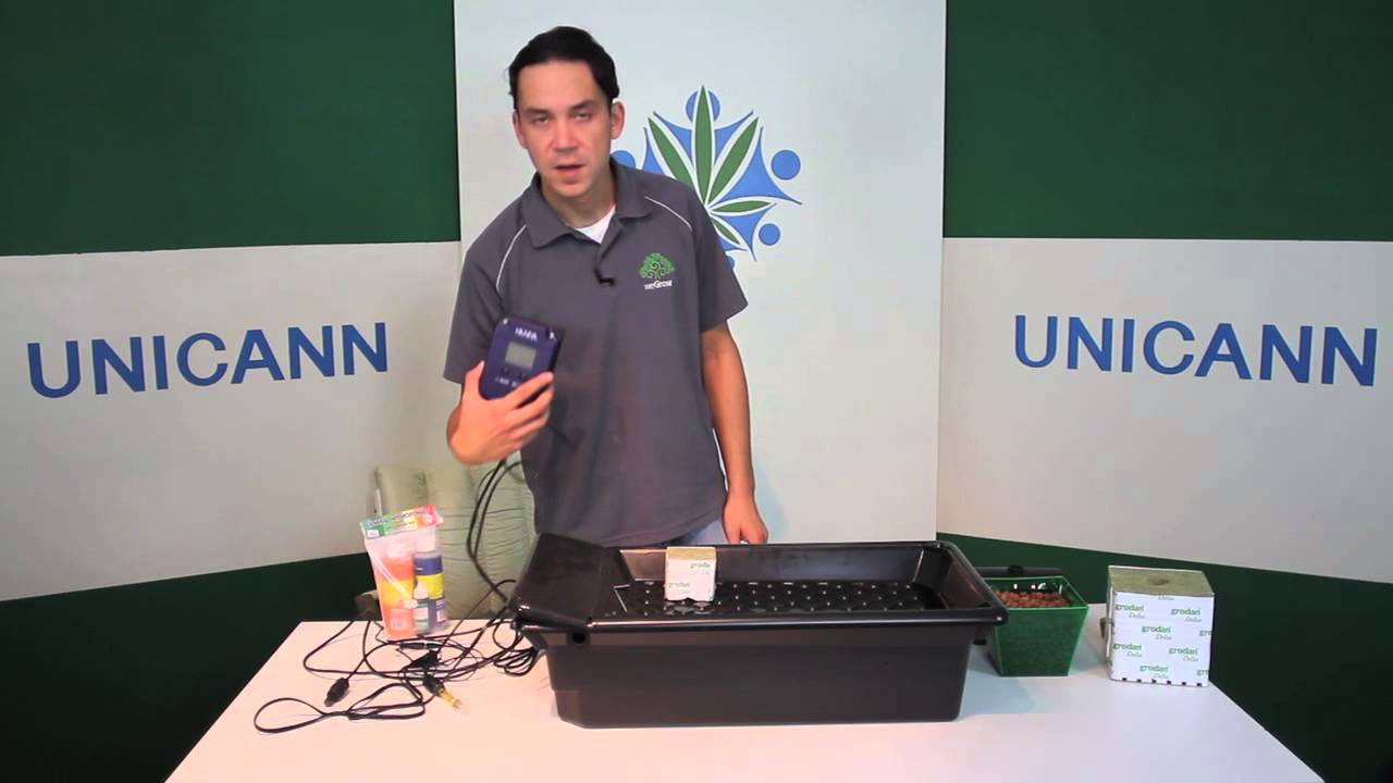 Cannabis University - Nutrient Film Technique - Feeding