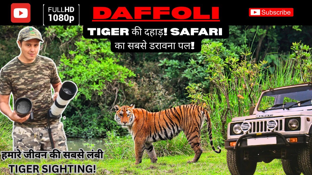 TIGER SIGHTING | KAZIRANGA NATIONAL PARK 
