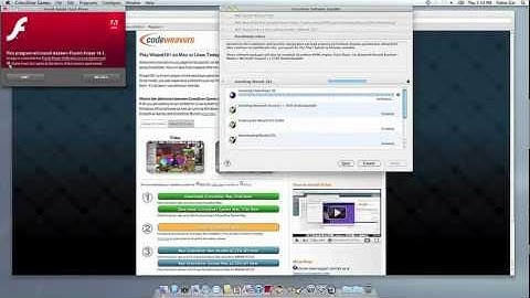 Install and Play Wizard101 on Mac/Linux
