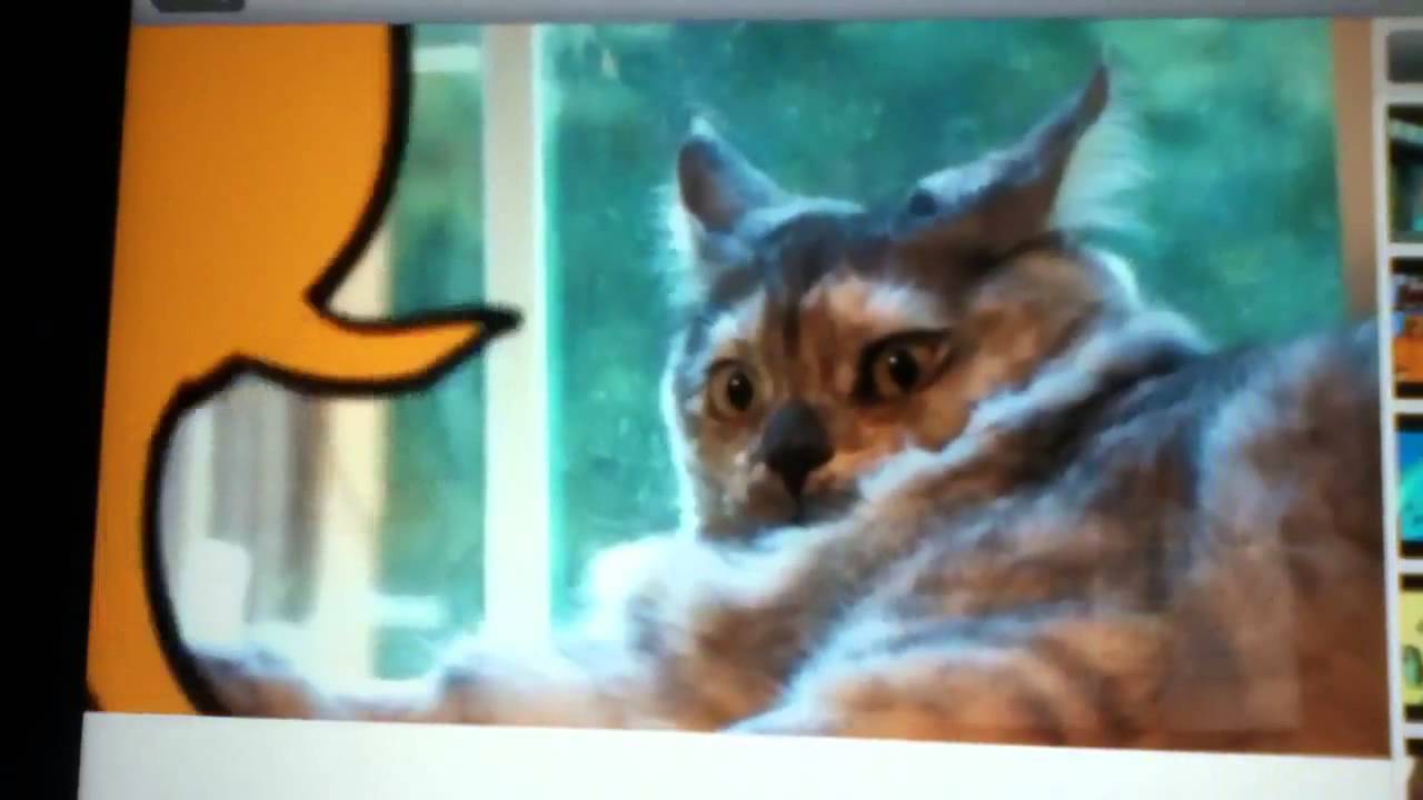 camera iphone 8 plus apk Adventure Time Cats with Barney and kids singing jingle bells