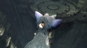 The Last Guardian - Part 3 The Trap: The Boy Calms Trico By Petting Him (Tutorial Sequence) PS4 Pro