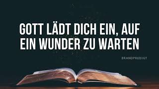 Gott lädt dich ein, auf ein Wunder zu warten | Matthias Brandtner | #brandpredigt