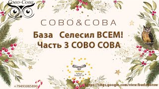 База   Селесил ВСЕМ! Часть 3 СОВО СОВА #рекомендации #совосова #олигопептиды #нутрицевтики 1