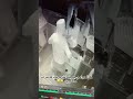 ادي آخرة الكاميرات المضروبه كوميديا ضحك funny comedy mp3
