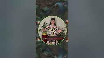 alia - birds of paradise - theremin