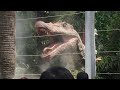 【USJ】Dinosaur Panic!_ダイナソー・パニック!【Jurassic Park】