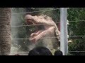 【USJ】Dinosaur Panic!_ダイナソー・パニック！