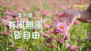 王一佳《 有風無風皆自由 》 不争不奪不憂愁  一路花開一路走 ... ♥ ♪♫*•