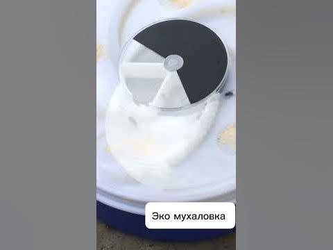 Эко мухаловка на вб - YouTube