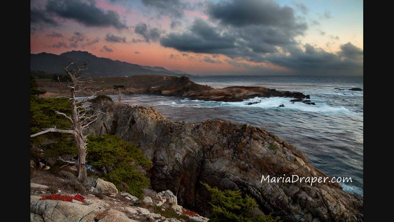 Carly Comando - Everyday [Robert Stoica]