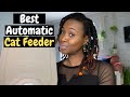 BEST AUTOMATIC CAT FEEDER | SafePet Feeder Review