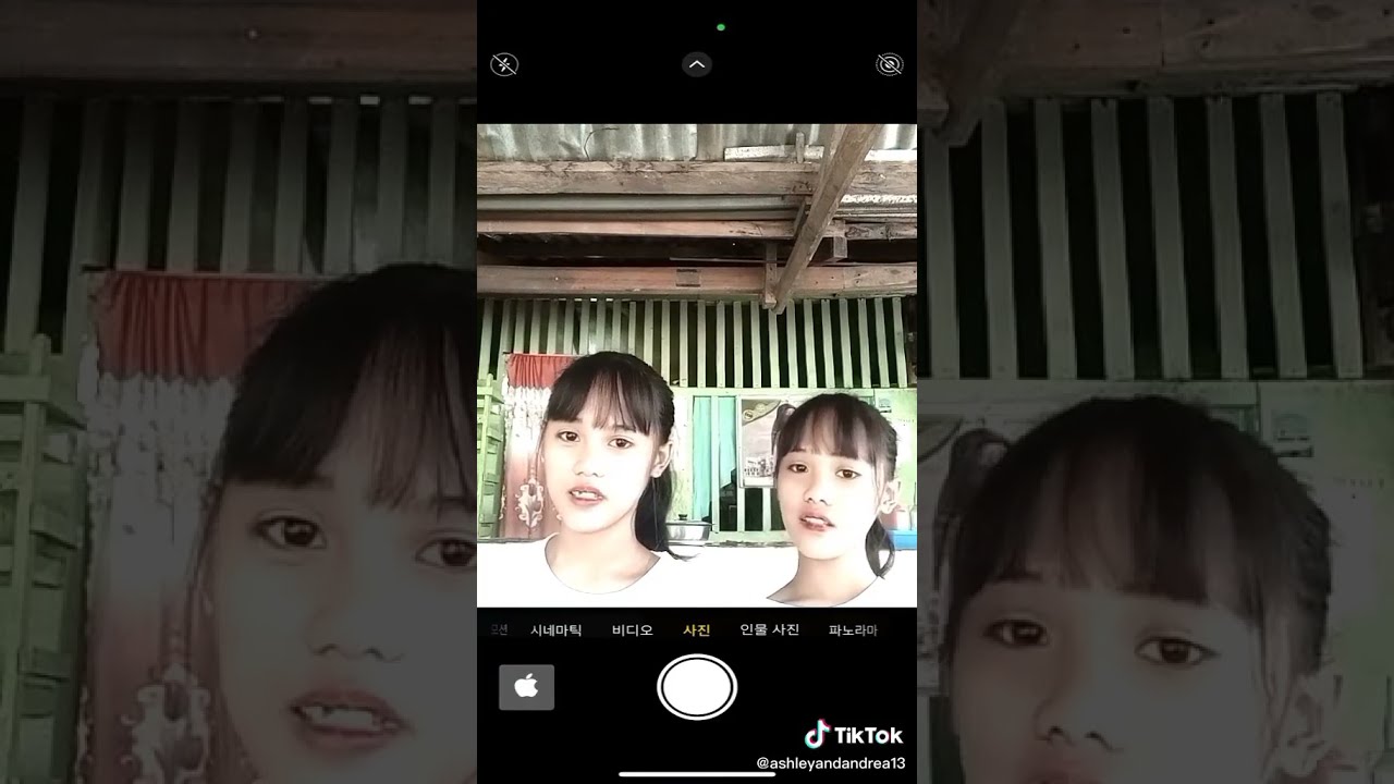 Ashley Andrea Twins Francisco
