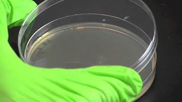 Making a Streak Plate