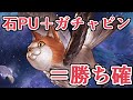 はい、勝ち確っと。 石PU+ガチャピンモードの最強布陣【グラブル】