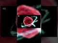 #motion of electron in lithium atom #motion of electron #animation of electron motion#lithium#motion