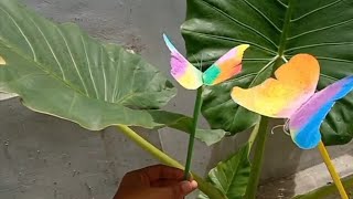 CARA MEMBUAT KUPU-KUPU TERBANG