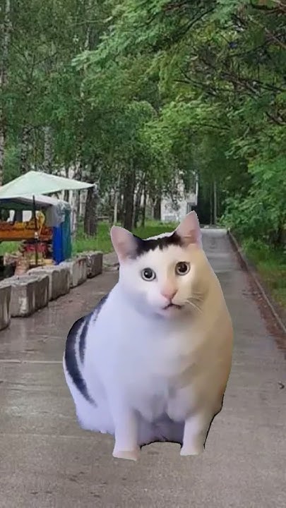 Купи слона! - YouTube