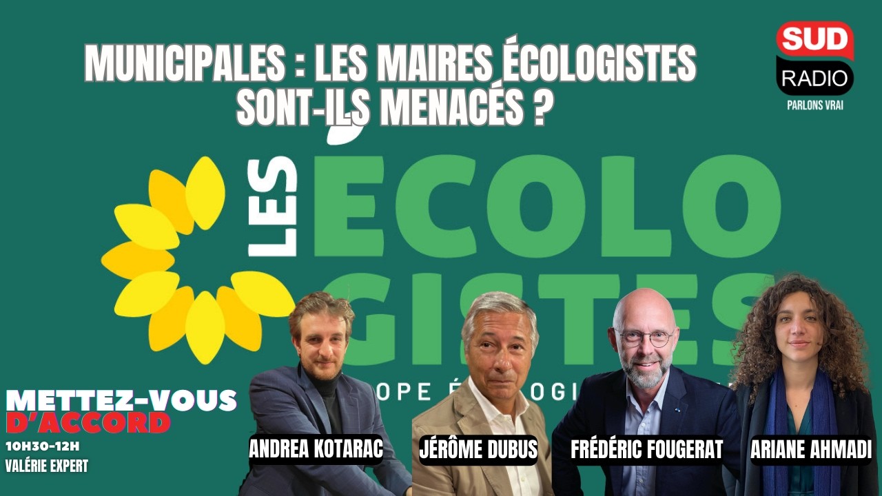 Municipales : les maires écologistes sont-ils menacés ?