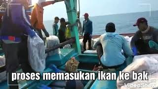 CARA KERJA KAPAL CANTRANG TEGAL