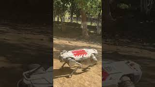 robot dog training and experiment 🧪🧪