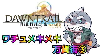 【FF14】 頬白🦈ワチュメキメキをテキパキハリキリます！pa-to３🦈【ネタバレ注意】
