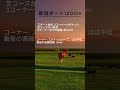 【競馬豆知識】新潟競馬場ダート1200mコースの特徴を解説！ #競馬 #新潟競馬場 #傾向  #血統