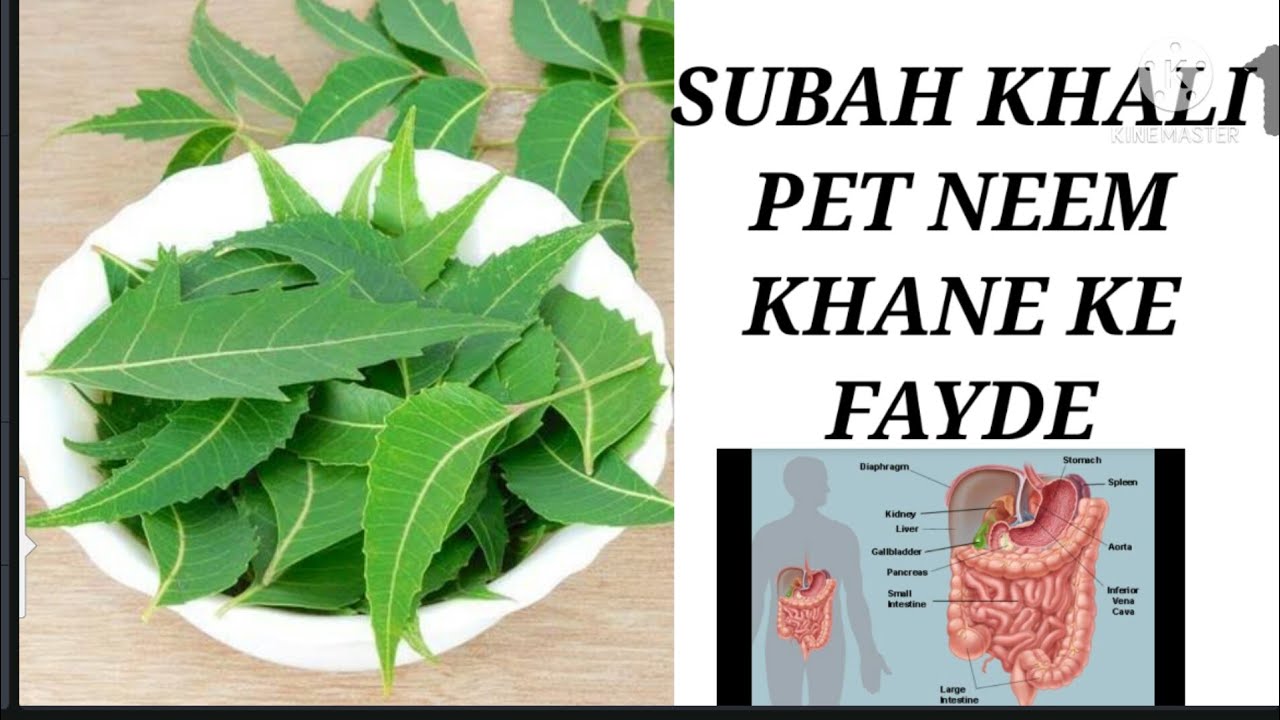 Subah khali pet Neem khane ke fayde YouTube