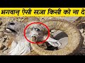 भगवान् ऐसी सज़ा किसी को ना दे dangerous animals bodyparts, strange animal behaviour,unusual