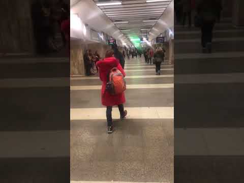 Video: Câte ceva despre stația de metrou „Pionerskaya” din Sankt Petersburg