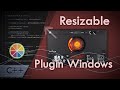 Resizable raster windows  visualizations with juce