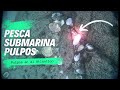 💥PESCA SUBMARINA DE PULPOS EN EL ATLÁNTICO🐙PESCA SUBMARINA GALICIA