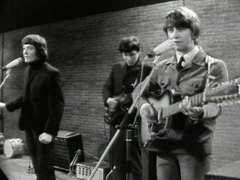 The Hollies "Look Through Any Window"