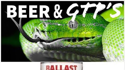 Green Tree Python Care and BEER