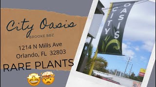 CITY OASIS | RARE plant shopping in Florida by bunch of brunners  171 views 3 years ago 9 minutes