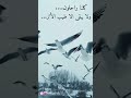 حالات ويتس كلنا راحلون ولا يبقى الا طيب الاثر حالات ويتس كبرياء Fortnite حالات ويتس كلنا راحلون ولا يبقى الا طيب الاثر حالات ويتس كبرياء Fortnite