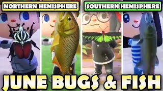 ULTIMATE Bugs & Fish Guide For JUNE In Animal Crossing New Horizons | North & South Hemisphere!