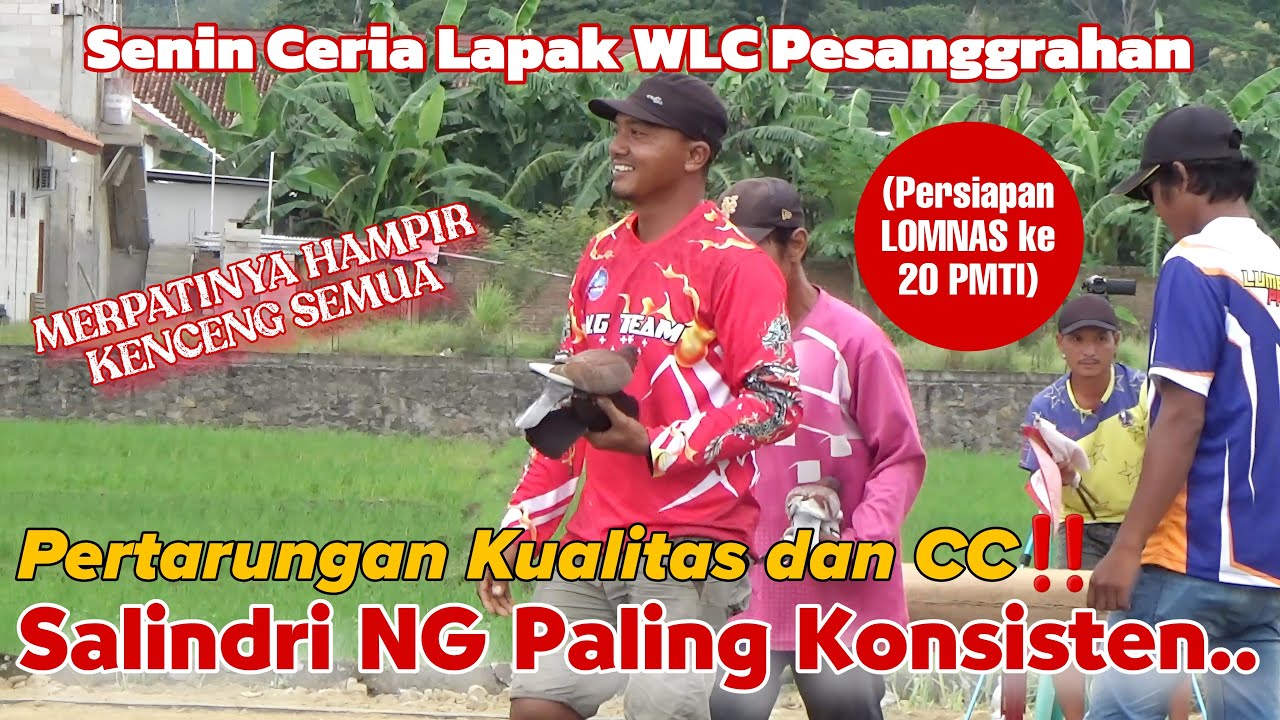 TARUNG KUALITAS‼️DI SENIN CERIA LAPAK WLC PESANGRAHAN, PERSIAPAN LOMNAS PMTI KE 20