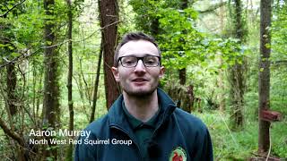 A Very Grey Problem Squirrel Documentary