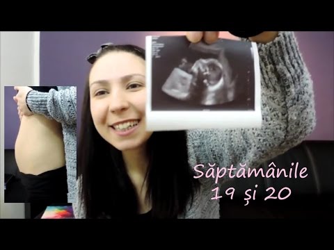 Video: Sherlyn Se Mândrește Deja Cu Burta De Sarcină