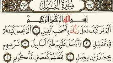 سورة الفيل من القرآن الكريم | قراءة من المصحف بصوت جميل وخاشع