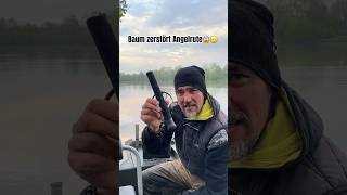 BAUM zerstört Angelrute 🥲😱‼️Lebensgefahr‼️ ANGLER TAGEBUCH Teil 43 #raubfischangeln #live #shorts