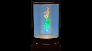Integral Hologram by Jason Sapan, Holographic Studios, โHulaโ, 1990 NYC